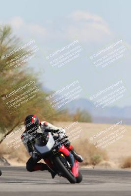 media/Oct-13-2025-Moto Forza (Mon) [[a66d839500]]/3-B Group/Session 4 Turn 4 Tree of Life/